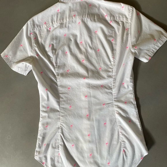 Bonobos Riviera - Picture 2 of 3